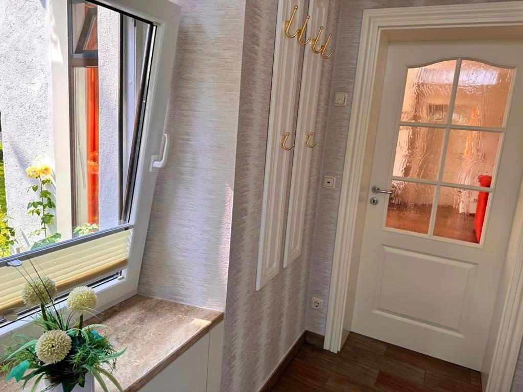 Ferienwohnung Seerose ザスニッツ エクステリア 写真